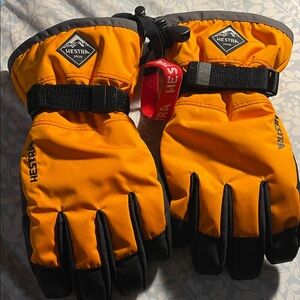 Hestra Ski Gloves Waterproof Winter Gloves Premium Snow Gloves